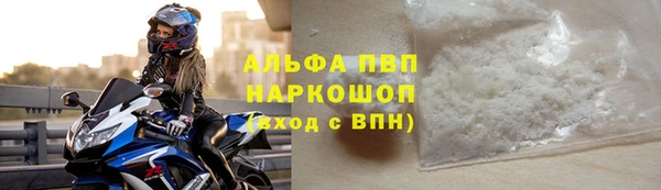 СК Протвино