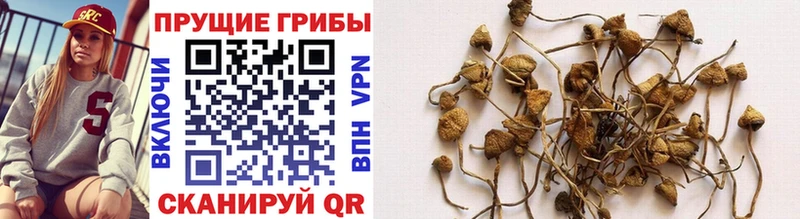 Псилоцибиновые грибы MAGIC MUSHROOMS  Купить  Стерлитамак